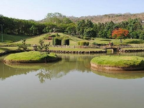  A close-up view of the pond in the Pune-Okayama Friendship Garden. The pond is dotted with small, grassy islands, creating a unique and picturesque landscape.